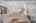 Blurred preview of media: 6V8A8568