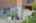 Blurred preview of media: 4376 (34 - 83)