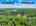 Blurred preview of media: 2-726--4