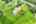 Blurred preview of media: DJI_0928 copy 2