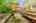 Blurred preview of media: 64 Ravina Cres, Ancaster _ Nathan Ferro149