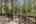 Blurred preview of media: 334 N Pine Meadows Rd - 49