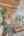 Blurred preview of media: DSC02183