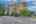Blurred preview of media: 001
