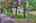 Blurred preview of media: IMG_1006_7_8_easyHDR
