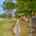 Blurred preview of media: DSC06482