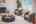 Blurred preview of media: 0002