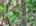 Blurred preview of media: DJI_20260702124803_0585_D_6_D_7_D_easyHDR