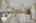 Blurred preview of media: 1109-ditmas-avenue-brooklyn-ny-usa-021