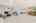 Blurred preview of media: Nerine_101