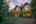 Blurred preview of media: 229 Highlands Drive , Breckenridge, Colorado, 80424 - Web-57