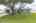 Blurred preview of media: iPixx_10_1
