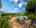 Blurred preview of media: D2
