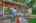 Blurred preview of media: 793 Ivanhoe St RS 1 00007