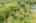 Blurred preview of media: 592 Sugar Road Bolton Massachusetts Job 38874 0081