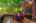 Blurred preview of media: 25
