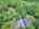Blurred preview of media: DJI_20260616120617_0892_D_3_D_4_D_easyHDR