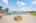 Blurred preview of media: DSC08602