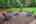 Blurred preview of media: 19625 Callaway Hills Ln-67