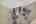 Blurred preview of media: 62-manor-square-sparta-nj-usa-house-020