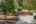 Blurred preview of media: 1-2