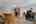 Blurred preview of media: DSC_4962