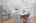 Blurred preview of media: DSC07330