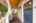 Blurred preview of media: 1-7