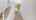 Blurred preview of media: ipixx-37