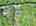 Blurred preview of media: DJI_20260603130620_0221_D_2_D_3_D_easyHDR