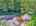 Blurred preview of media: 9zzzh