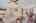 Blurred preview of media: FPP00051