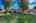 Blurred preview of media: 5742 W Chestnut Ave 00002