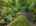 Blurred preview of media: 52-10565_SW_Cormorant_Dr