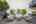 Blurred preview of media: 55-21290_SW_Eastview_Rd