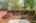 Blurred preview of media: 1-27