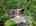 Blurred preview of media: 76-shades-of-death-road-great-meadows-n-j-drone-002