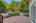 Blurred preview of media: Nerine_016