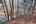Blurred preview of media: IMG_0710_1_2_easyHDR