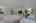 Blurred preview of media: 250245-27a