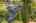 Blurred preview of media: Aerial 06