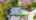 Blurred preview of media: 92