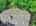 Blurred preview of media: DJI_20260608140821_0551_D_1_0552_D_2_0553_D_easyHDR
