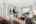 Blurred preview of media: IMG_7294