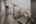 Blurred preview of media: DSC01009