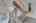 Blurred preview of media: DSC02186