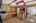 Blurred preview of media: 850_8449