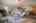 Blurred preview of media: 12.1