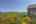 Blurred preview of media: IMG_1296.3