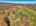 Blurred preview of media: DJI_20251021122311_0869_D_70_D_71_D_easyHDR